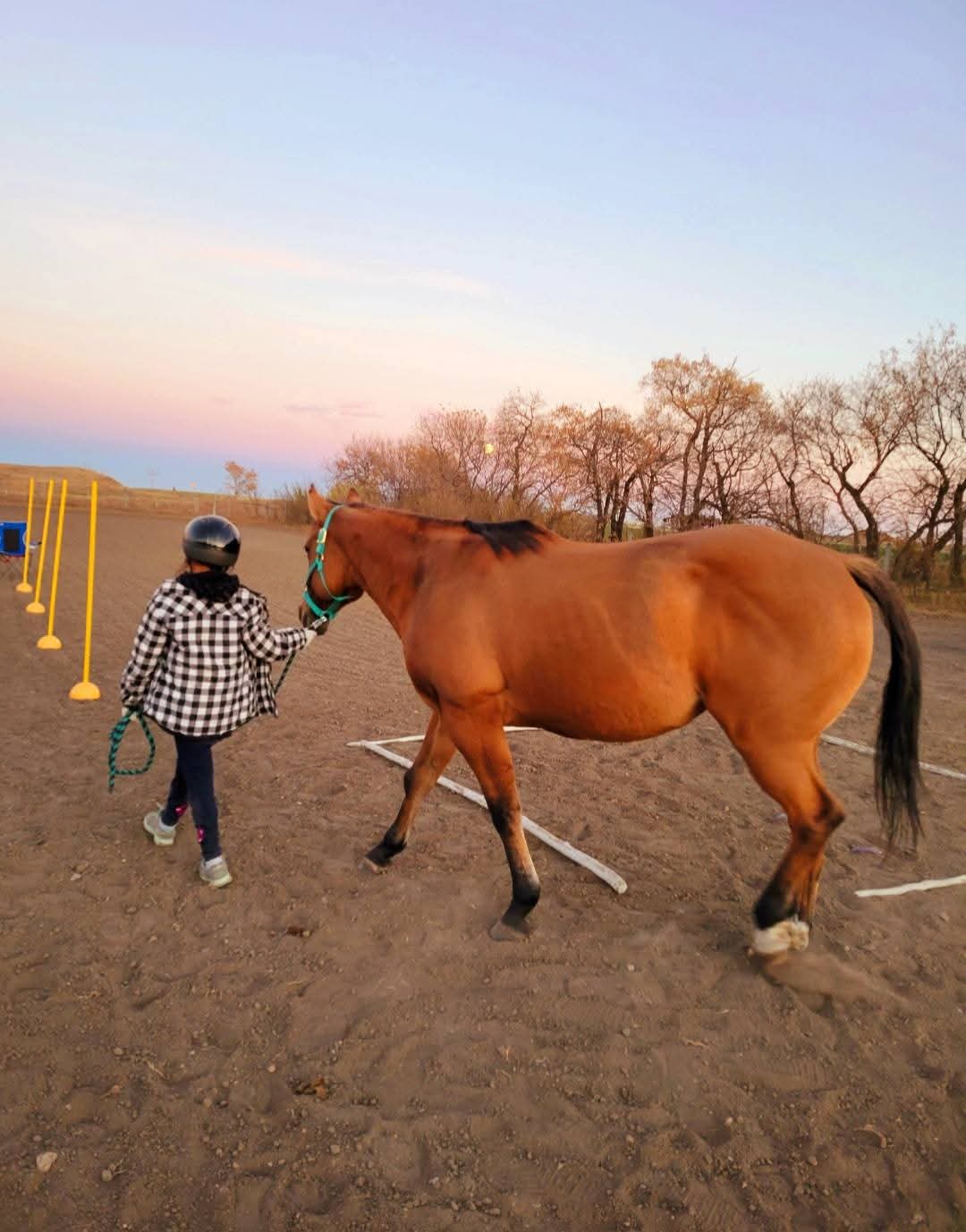 A child leading a horse at Spiritstone.